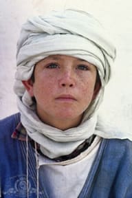 Kelly Reno