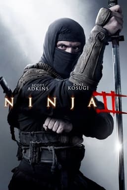 Ніндзя: Тінь Сльози постер