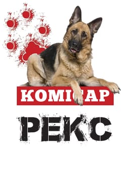 Комісар Рекс