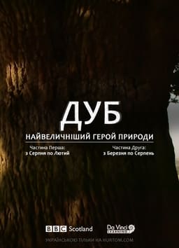 Дуб. Найвеличніший герой природи постер