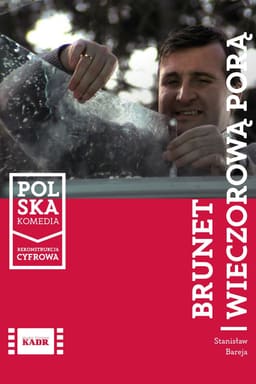 Брюнет вечірньою порою постер