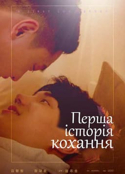 Перша історія кохання постер