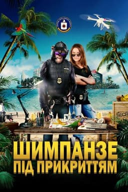 Шимпанзе під прикриттям постер
