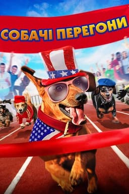 Собачі перегони постер