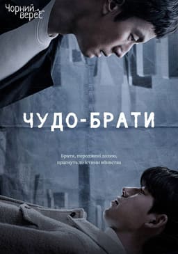 Сусіди по віллі Пундок постер