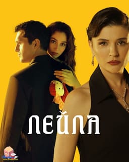 Лейла постер