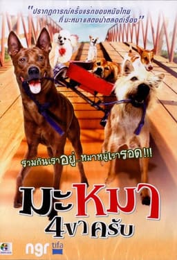 Дорожня банда "4 лапи" постер