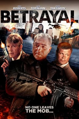 Зрада постер