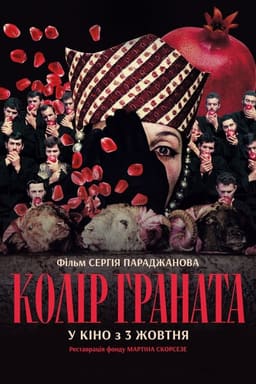 Колір граната постер