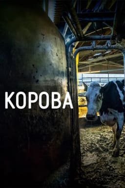 Корова постер