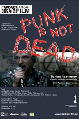 Панки не мертві постер
