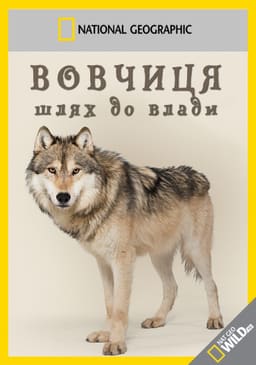 Вовчиця - шлях до влади постер