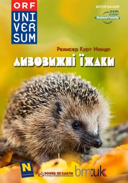 Дивовижні їжаки постер