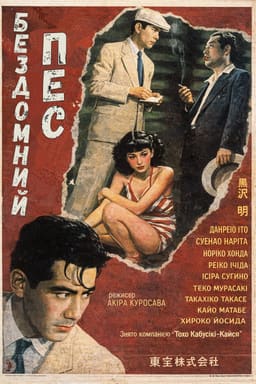 Бездомний пес