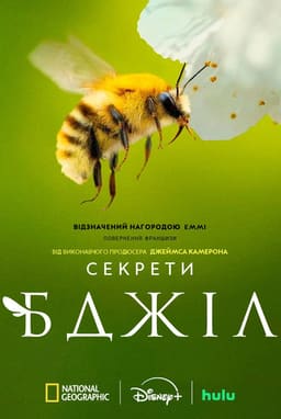 Секрети бджіл