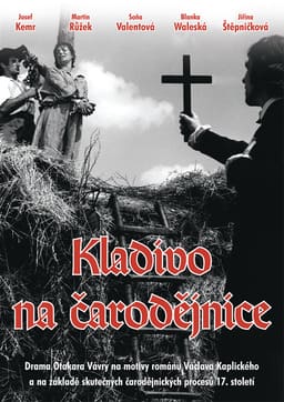 Молот відьом постер
