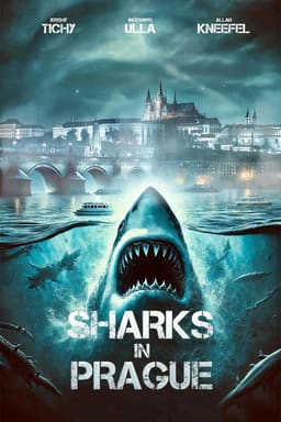 Акули в Празі постер