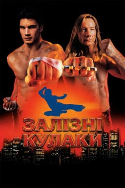 Залізні кулаки постер